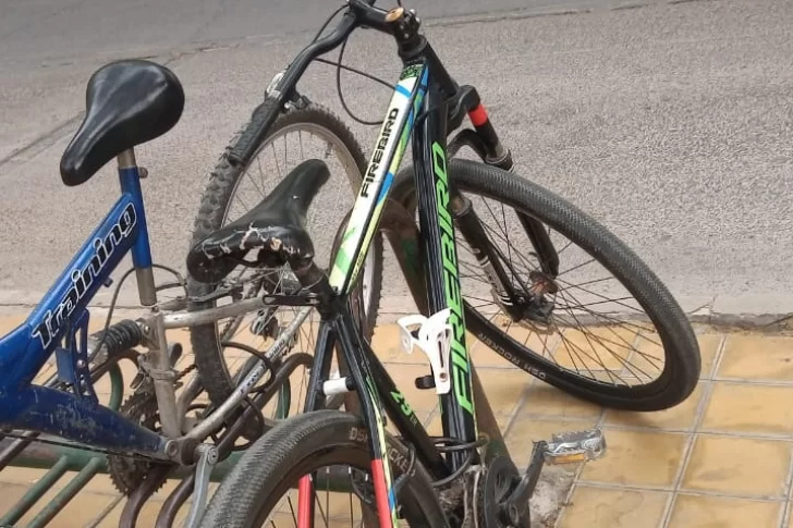 Roban bici frente a la Catedral