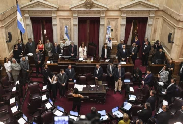 De madrugada, el Senado convirtió en ley el proyecto de solidaridad