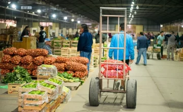 Hay verduras y frutas que aumentaron por encima de la inflación en 12 meses