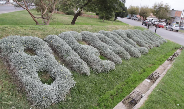 Los secretos detrás del único letrero con plantas que existe en la provincia