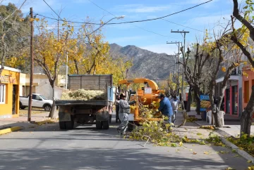 Comenzó la poda en el Valle