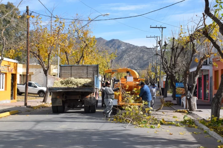 Comenzó la poda en el Valle