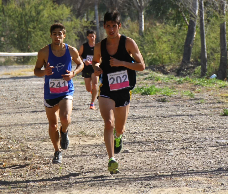 Mañana se corre la 41º edición del Circuito Navidad en Albardón