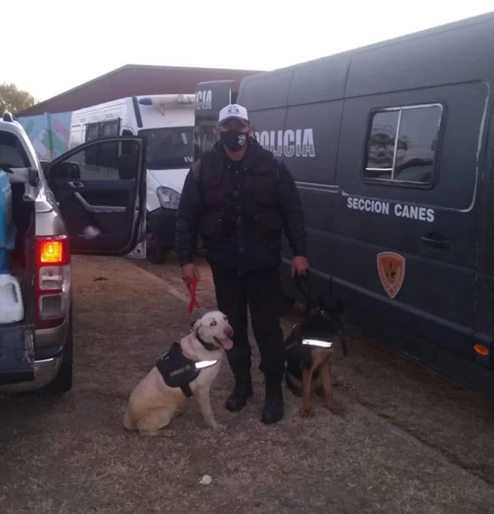 La esperanza de un sanjuanino que viajó con dos perras entrenadas a buscar a Guadalupe