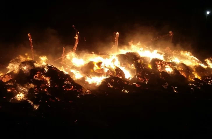 Perdió varios animales por un incendio en su finca