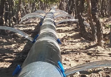 Suman ayudas para eficientizar el uso del agua para el riego