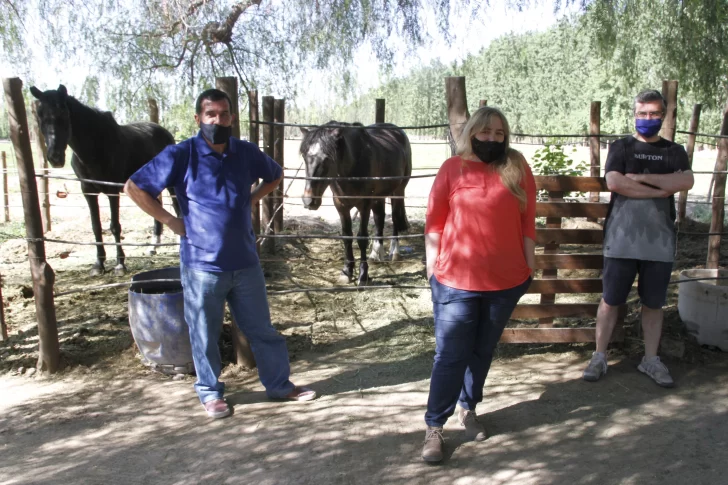 Un grupo que rescata caballos no lo hará más porque no tiene fondos