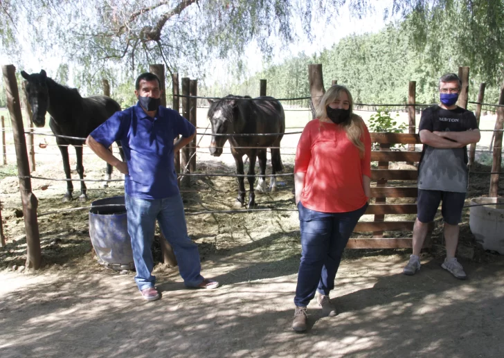 Un grupo que rescata caballos no lo hará más porque no tiene fondos