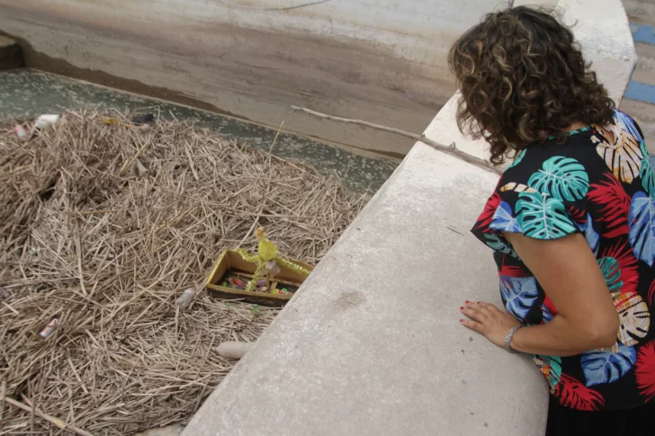 Espanto por los gualichos que flotan sobre las aguas del dique San Emiliano