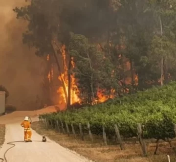 El humo afecta la cosecha en Australia