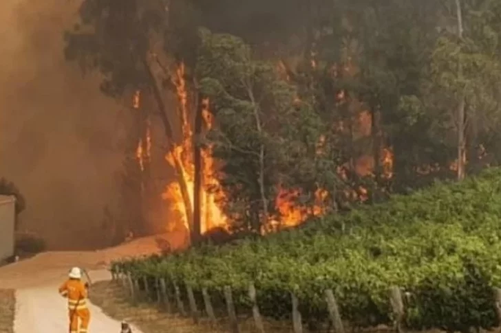 El humo afecta la cosecha en Australia