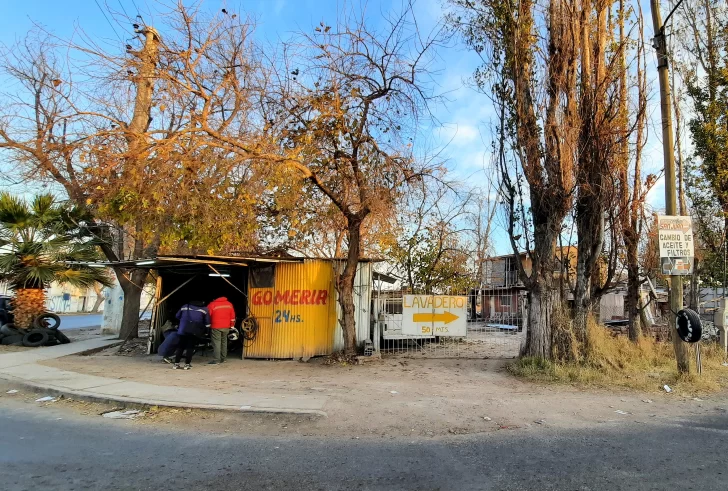 Sala Civil confirmó que una familia deberá devolver terrenos a la escuela de Enología