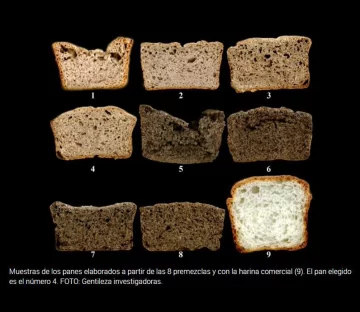 Logran premezcla con semillas de chía para hacer un pan sin gluten