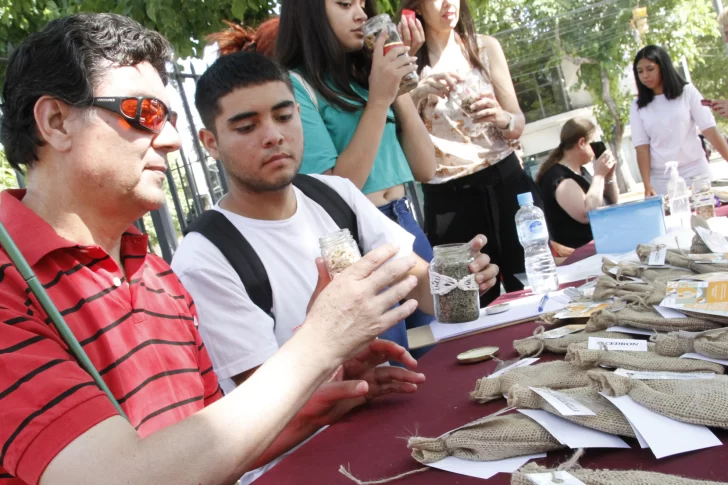 Son estudiantes no videntes y aprendieron a hacer té de aromáticas para generar ingresos