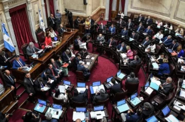 El Senado dio sanción definitiva a la norma que regula góndolas