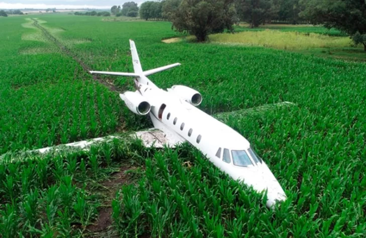 Aterrizó entre el maizal y todos salieron ilesos