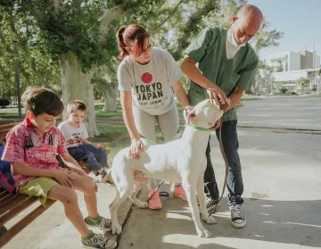 Por primera vez definen características para identificar a los perros peligrosos