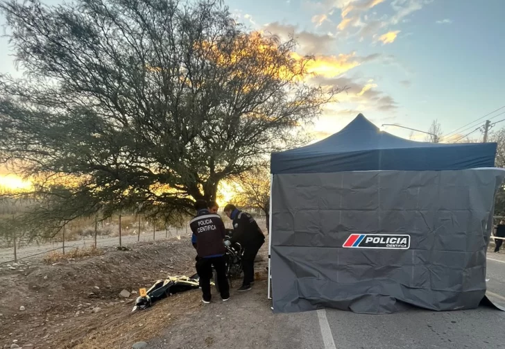 Lo peor para un motociclista de 18 años que se cruzó de carril y se estrelló contra un árbol