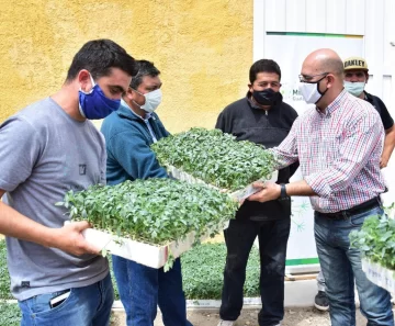 Con apoyo minero, impulsan proyecto para industrializar el tomate en Jáchal