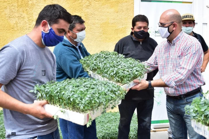 Con apoyo minero, impulsan proyecto para industrializar el tomate en Jáchal