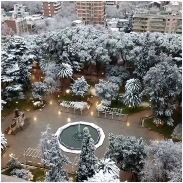 Mendoza amaneció cubierta de nieve