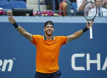 Otra gran performance convirtió a Del Potro en el primer semifinalista