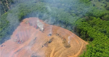 Especialistas indican que el Amazonas comenzó a emitir dióxido de carbono en vez de absorberlo