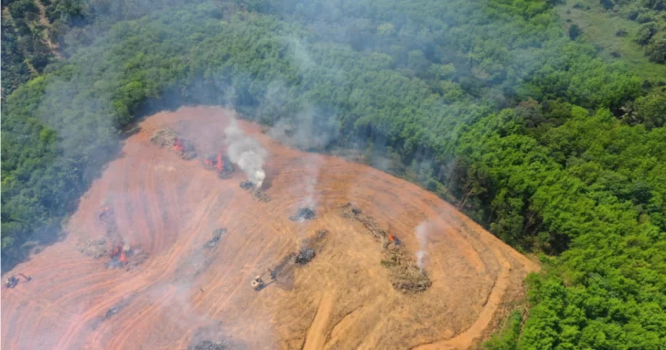 Especialistas indican que el Amazonas comenzó a emitir dióxido de carbono en vez de absorberlo