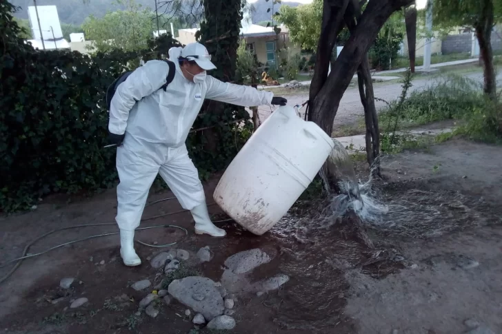 Afirman que los enfermos de dengue en San Juan están bien y reforzarán los controles