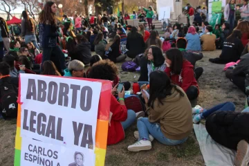 A pocos metros, pañuelos verdes y celestes palpitaron el debate