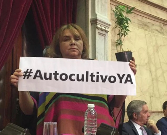 Una diputada entró al Congreso con una planta de marihuana