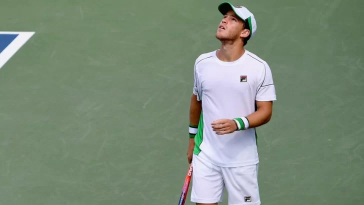 Sufriendo, Schwartzman pasó a la tercera ronda