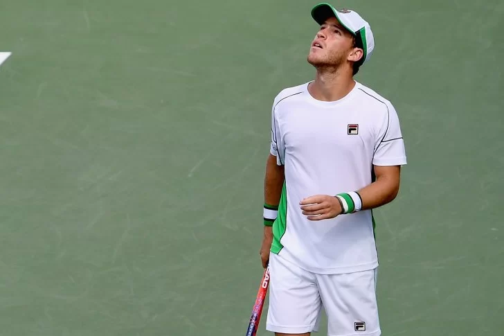 Sufriendo, Schwartzman pasó a la tercera ronda