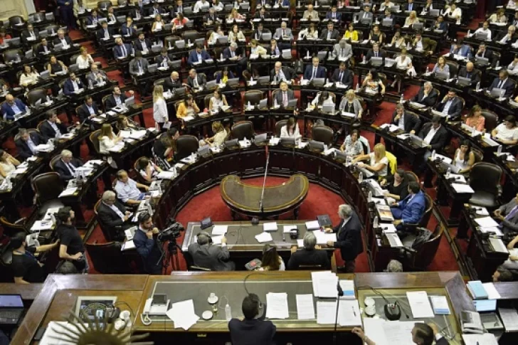 Arduo debate en Diputados por la Ley de Emergencia Económica