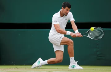 Djokovic también se metió en cuartos de final