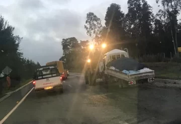 Un camionero y 12 de los caballos que trasladaba murieron tras un choque frontal