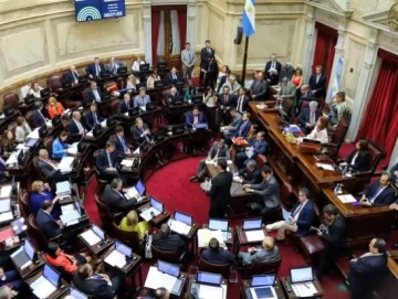 El Senado aprobó la Ley de Emergencia Económica luego de 12 horas de debate