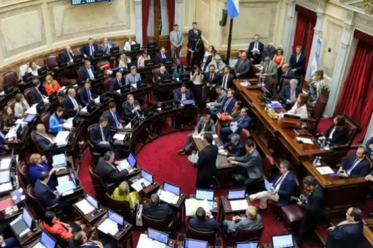 El Senado aprobó la Ley de Emergencia Económica luego de 12 horas de debate