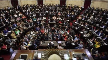 Diputados le dio media sanción al proyecto sobre renegociación de la deuda