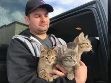 Un hombre halló a 3 gatitos atrapados en el hielo y los rescató con un poco de café