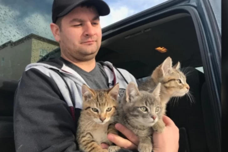 Un hombre halló a 3 gatitos atrapados en el hielo y los rescató con un poco de café