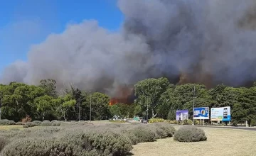 Un voraz incendio se esparce por bosques en Villa Gesell: el humo es visible desde la playa