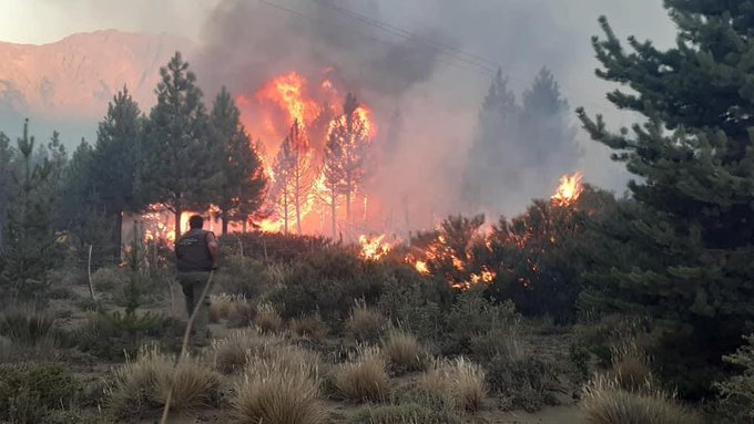 Advierten que es “muy grave” el daño por los incendios en El Bolsón