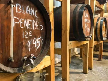 Argentina cierra el año con mejores precios en vinos a granel y espera buena cosecha