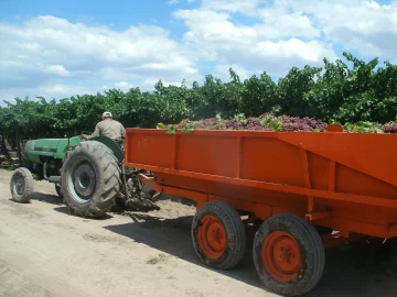 Cumplirá 30 años la Cooperativa El Porvenir, con sede en Rodeo