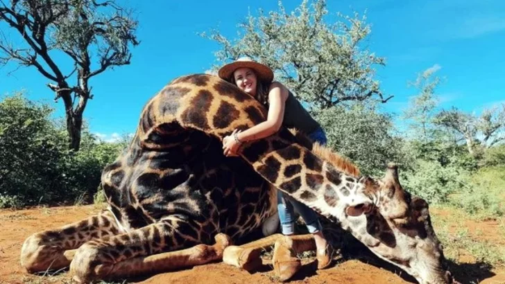 Mujer mata una jirafa, posa con su corazón y dice que así ayuda a las especies en extinción