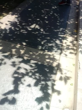 Las extrañas sombras que se proyectaron durante el eclipse