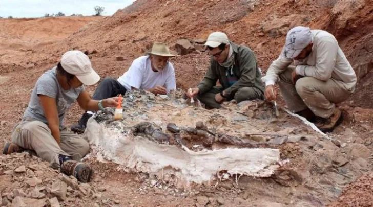 Gobierno pondrá $142 mil para extraer los fósiles de dinosaurios recientemente hallados