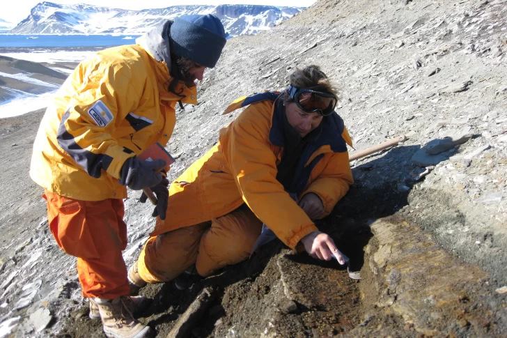 Fósiles de microorganismos antárticos revelan secretos del clima en la Tierra