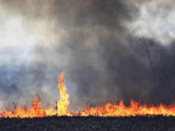 Cinco provincias continúan con “focos activos” de incendios forestales